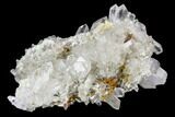 Brookite and Quartz Crystal Association- Pakistan #111344-2
